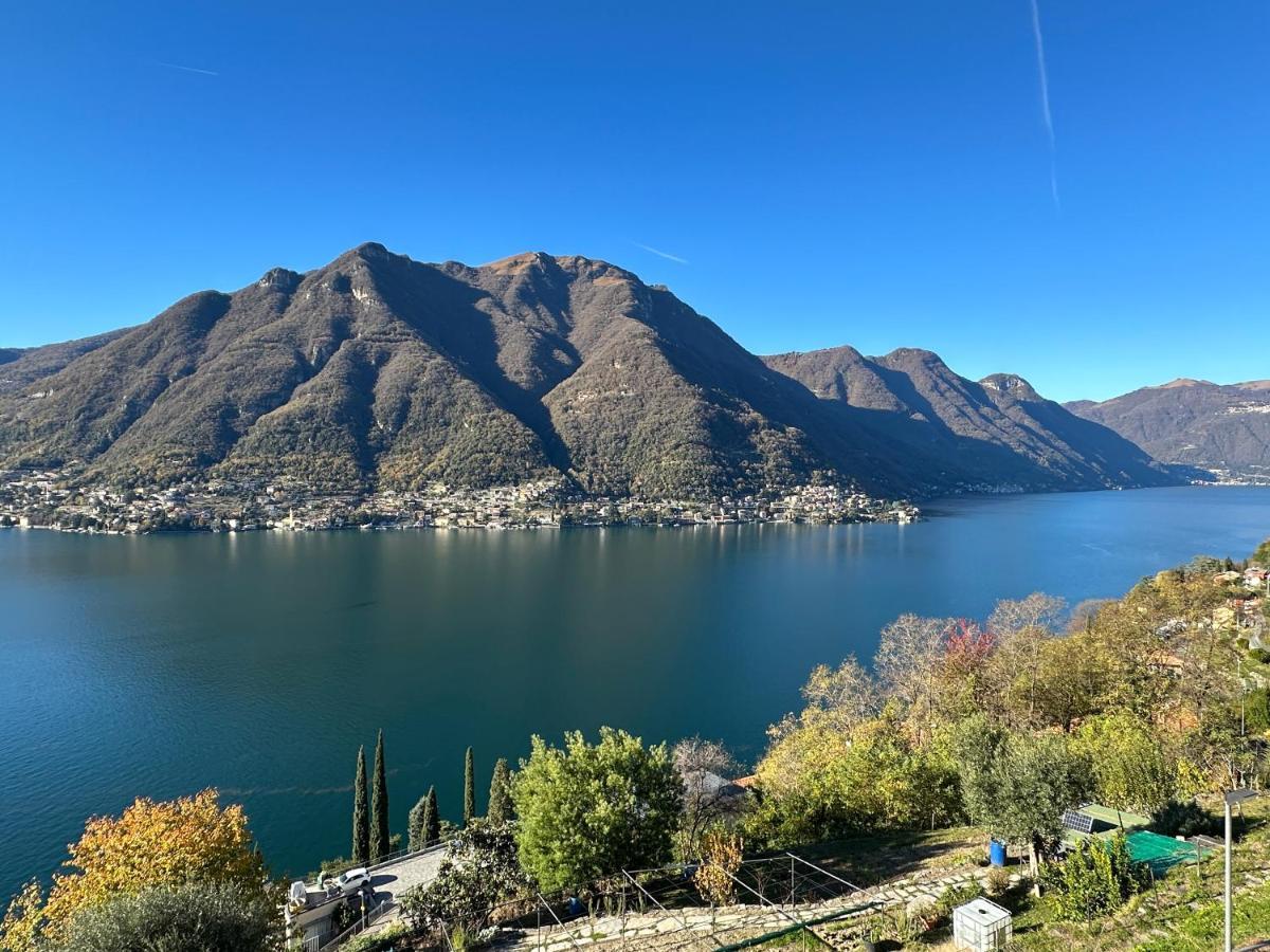 La Casa Del Mastro - Como Lake Pognana Lario Экстерьер фото